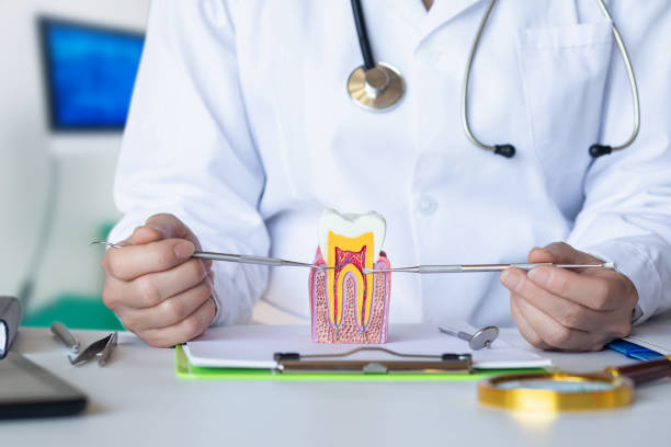 Best Emergency Broken Tooth Repair in Greer, SC